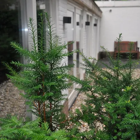 Stylish Near Nature, Train & Center شقة